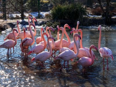 Wetlands for life