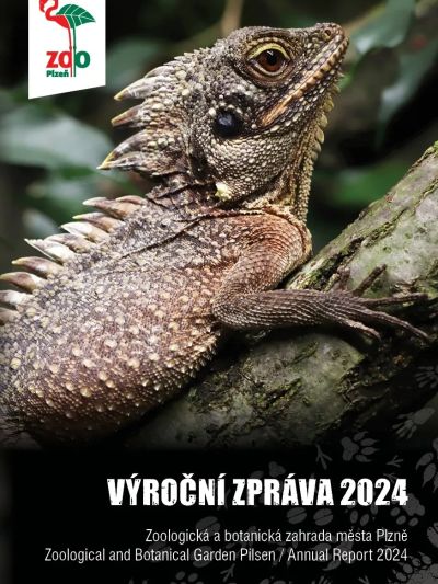 2024