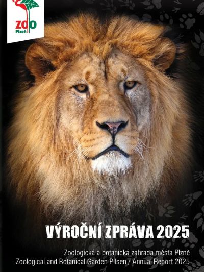 2025
