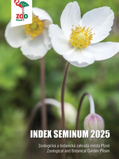 index2025