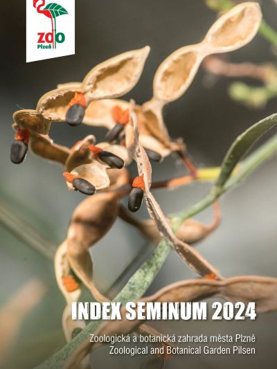 index2024