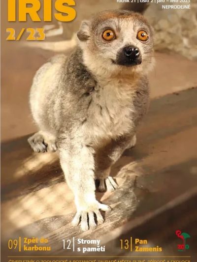 iris-2023-2