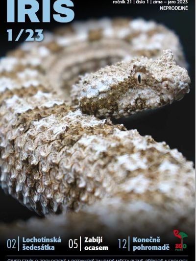 iris-2023-1