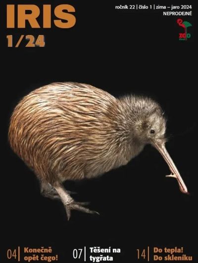 iris-2024-1