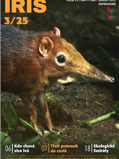 IRIS-2025-3