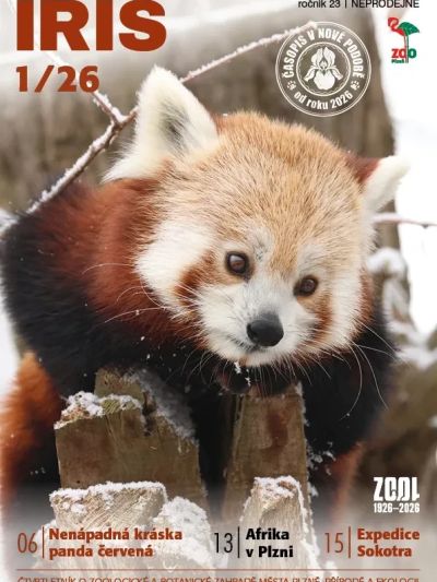 IRIS-2026-1